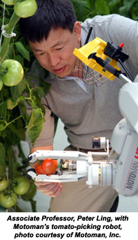The Eyes Have It: Robotic Vision and Guidance