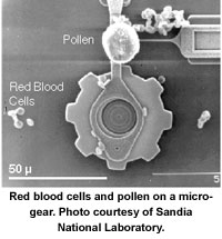 Nanotechnology Robotics